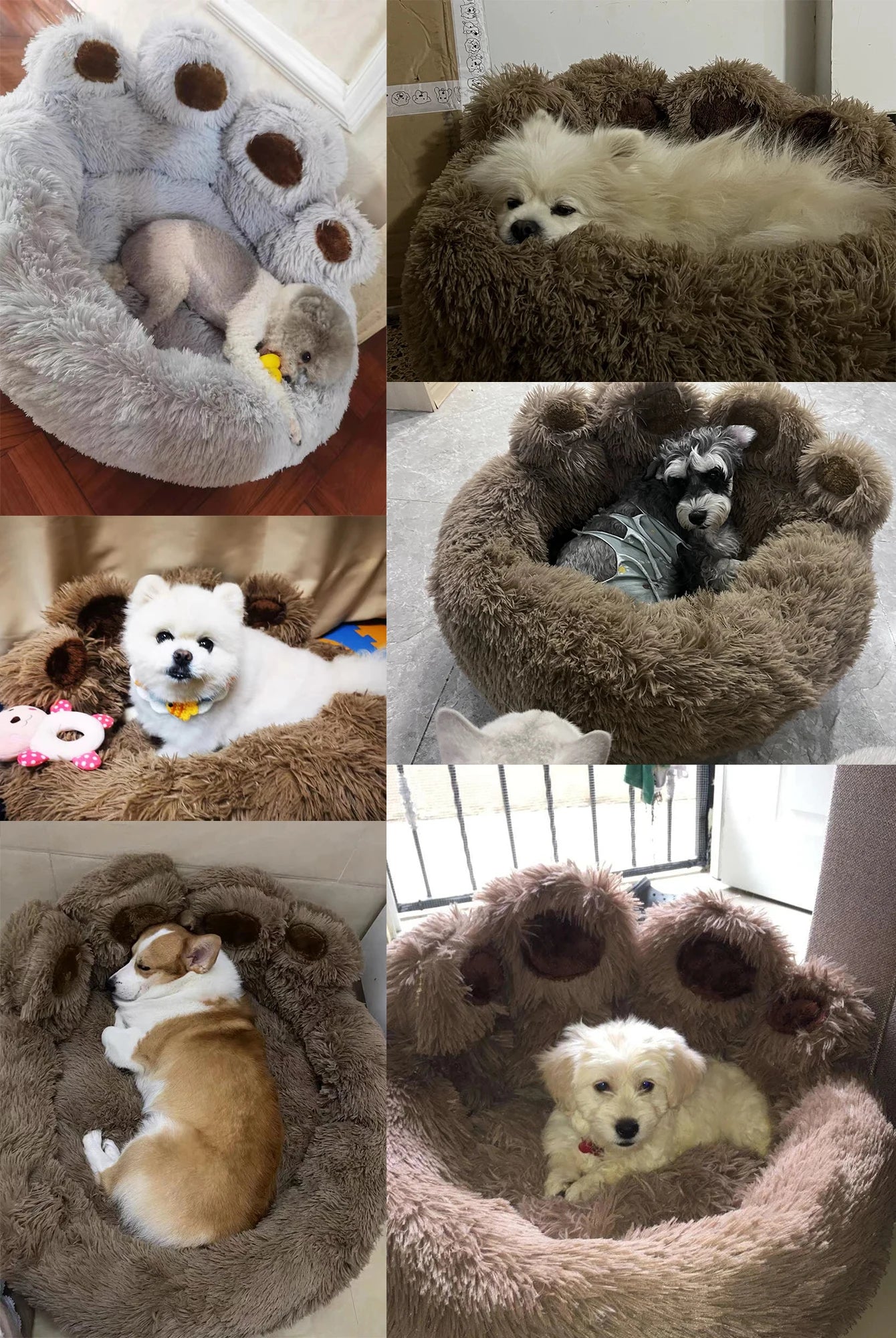 Bear Paw Shape Dog Bed Sofa