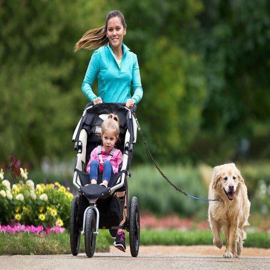 What are Hands-Free Leashes?