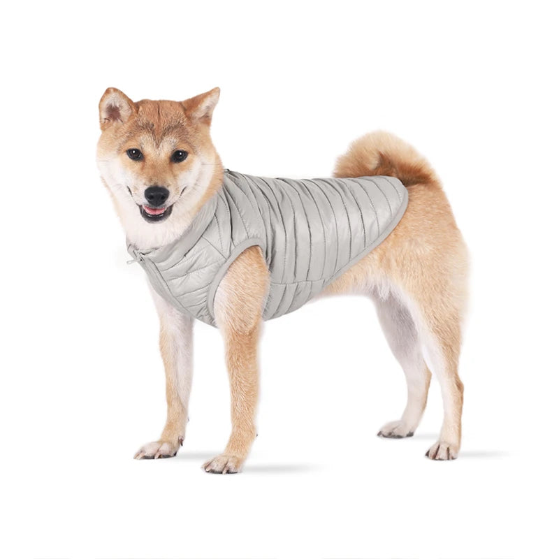 Padded Cold Weather Dog Coat
