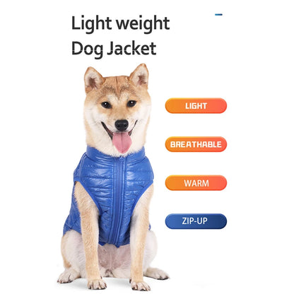 Padded Cold Weather Dog Coat