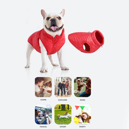 Padded Cold Weather Dog Coat