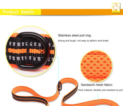 Multi-Purpose Adjustable Dog Leash