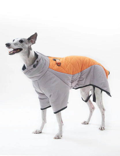 Warm Dog Jacket for Winter Cold Weather