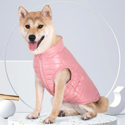 Padded Cold Weather Dog Coat