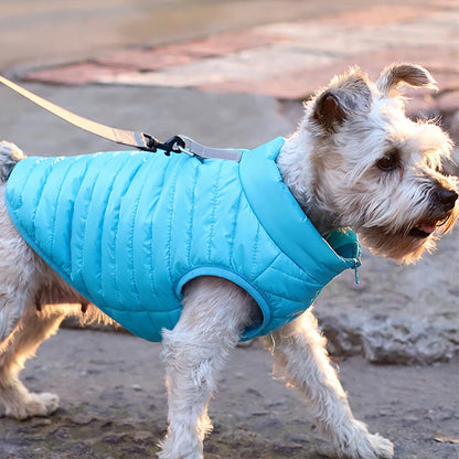 Padded Cold Weather Dog Coat