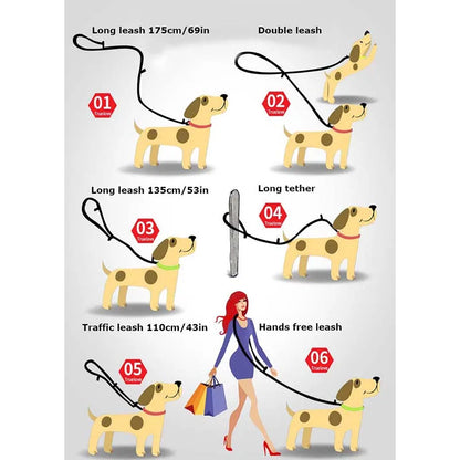 Multi-Purpose Adjustable Dog Leash