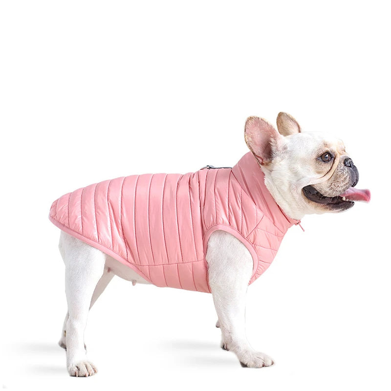 Padded Cold Weather Dog Coat